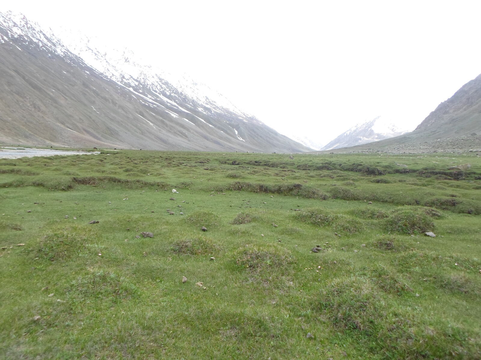 Samsung ES95 sample photo. Ghizer, phander photography