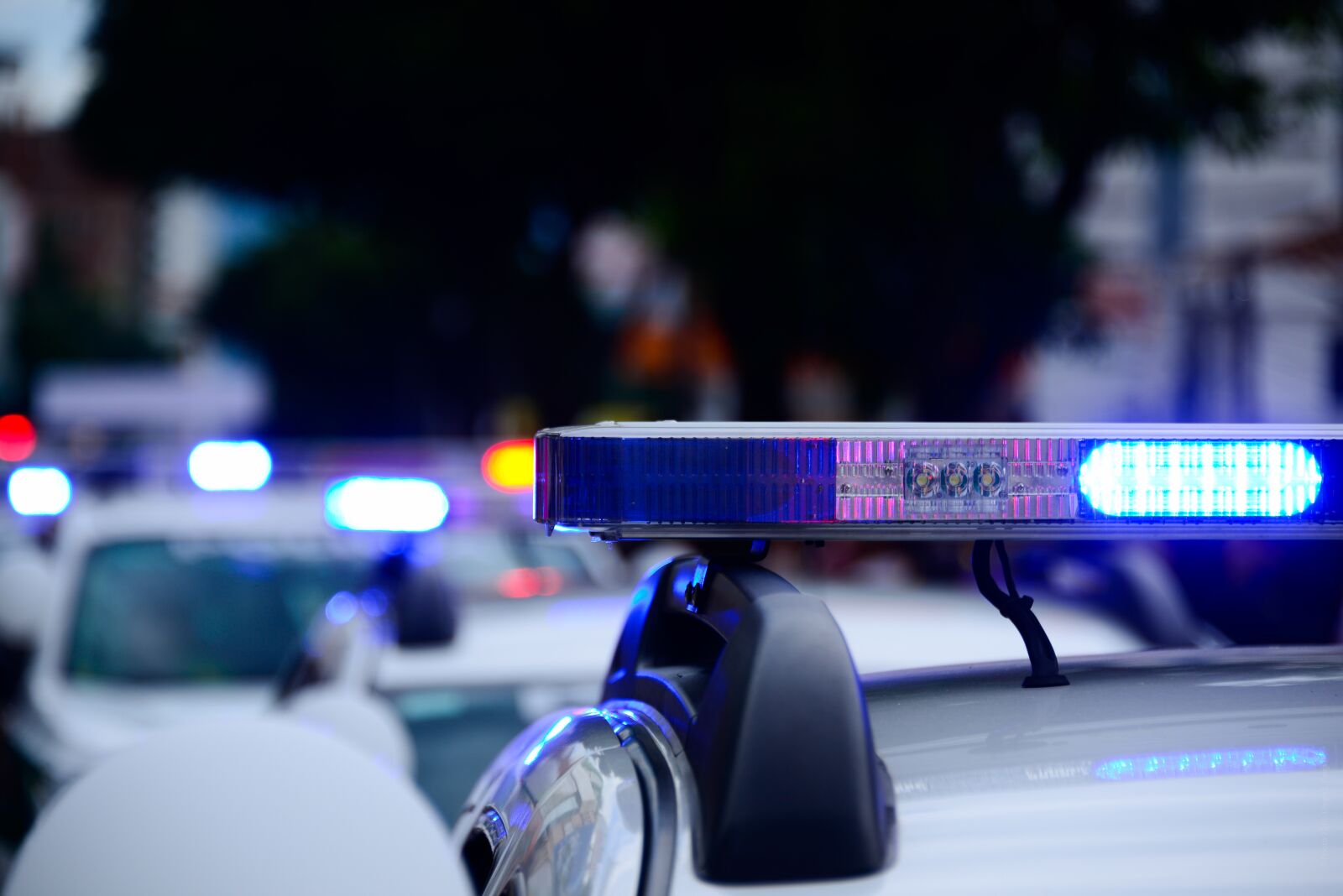 Nikon D800 sample photo. Car, police cars, caravan photography