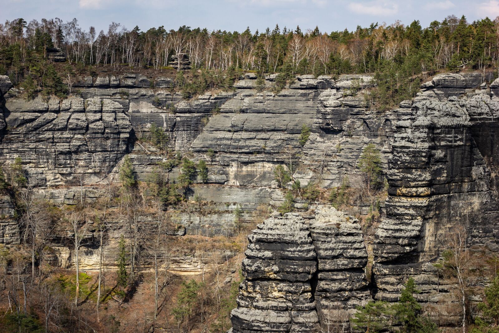 Canon EOS 600D (Rebel EOS T3i / EOS Kiss X5) + Canon EF 50mm F1.8 STM sample photo. Elbe sandstone, travel, nature photography