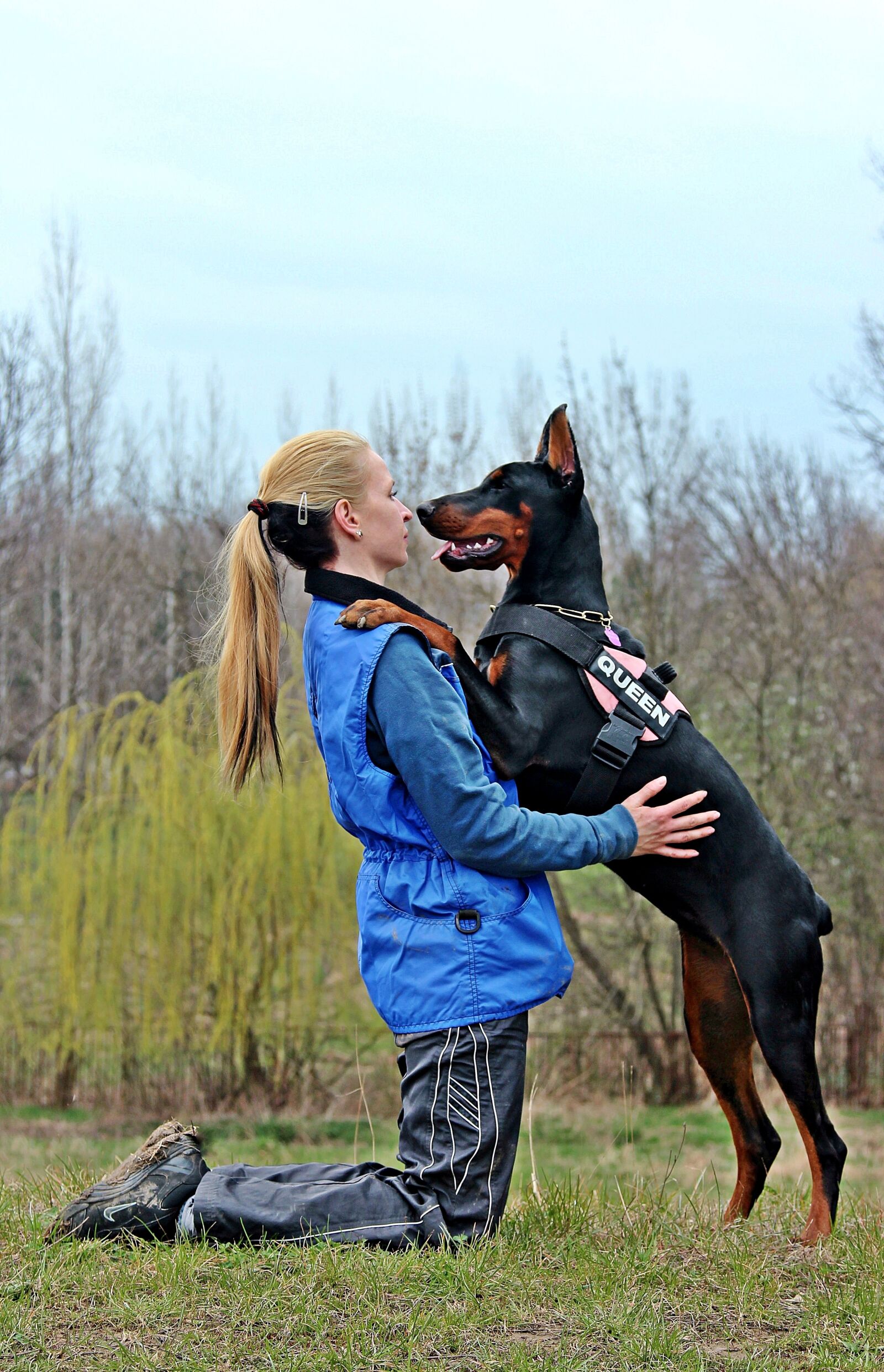 Canon EOS 600D (Rebel EOS T3i / EOS Kiss X5) sample photo. Doberman, dog, man photography