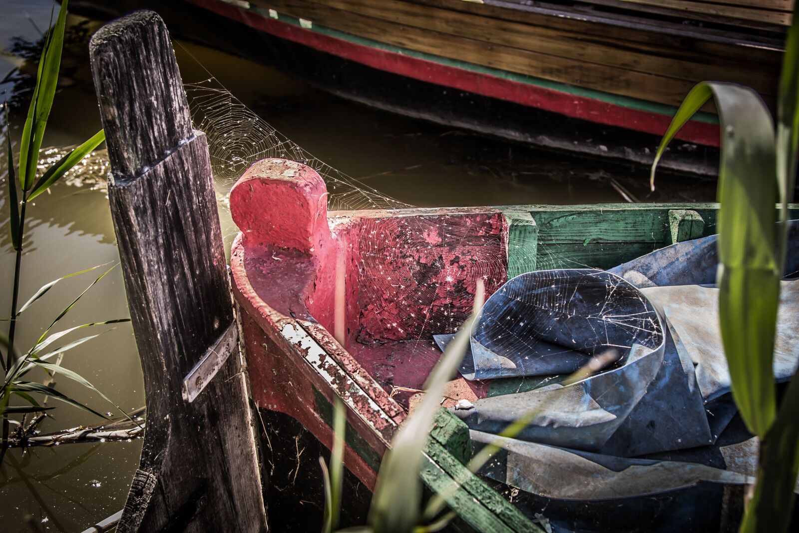 Canon EOS 60D + Canon EF 24-105mm F4L IS USM sample photo. Nature, wood, barca photography