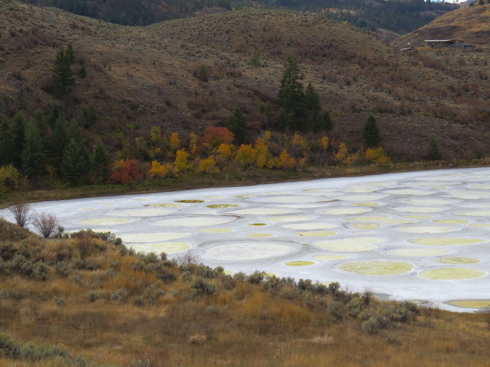Canon PowerShot SX50 HS sample photo. Spotted, lake, osoyoos, bc photography