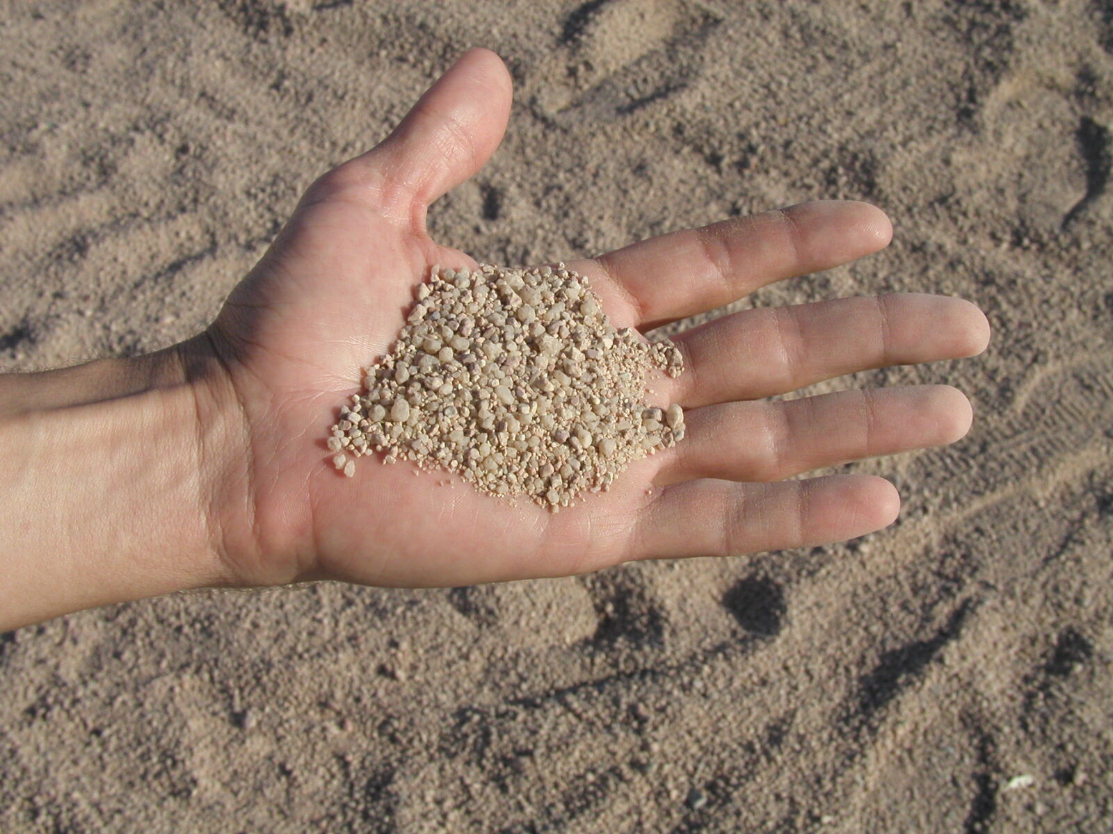 Olympus C4040Z sample photo. Hand, sand photography