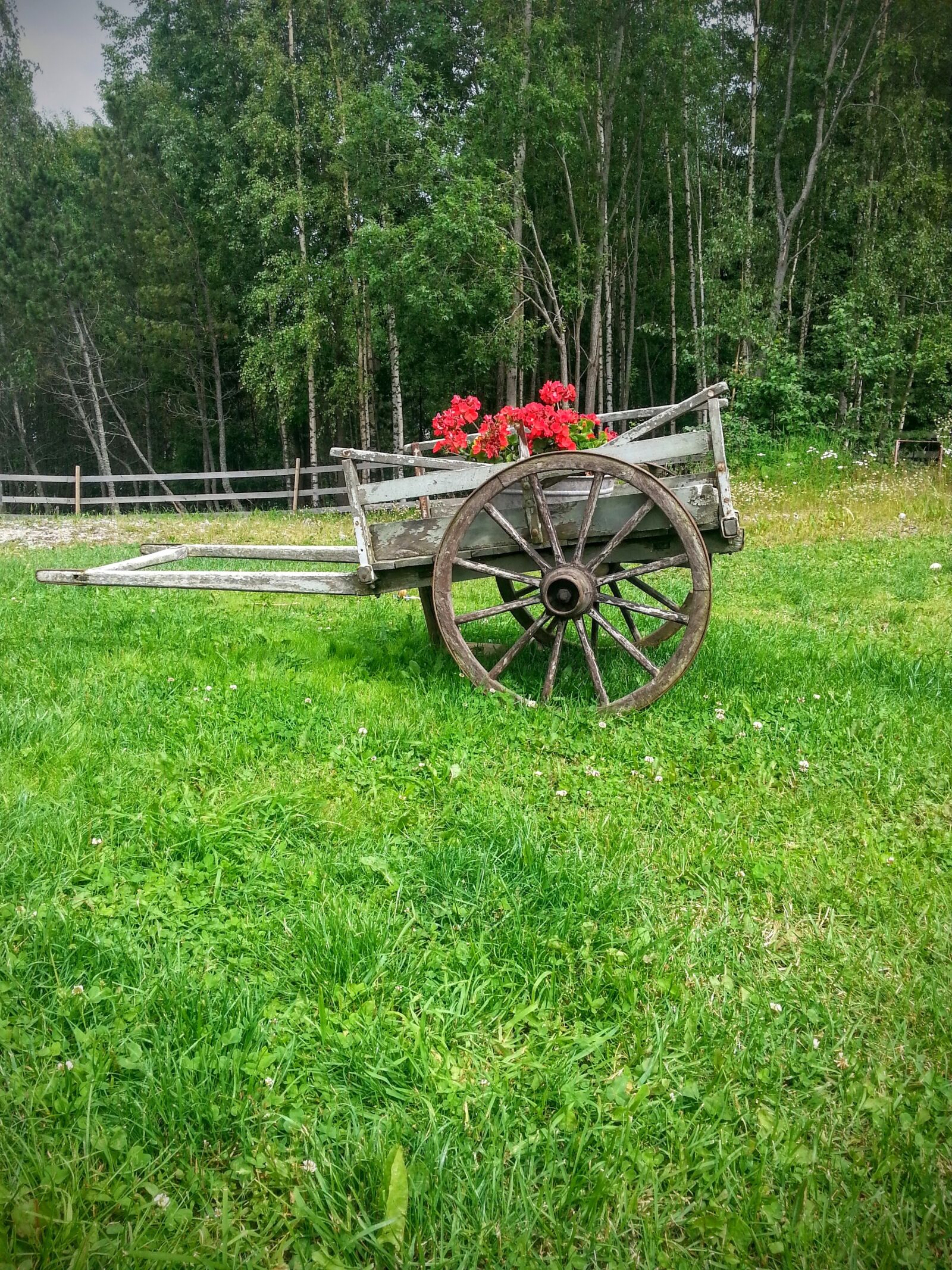 Samsung Galaxy S3 sample photo. Flower, cart, floral arrangements photography