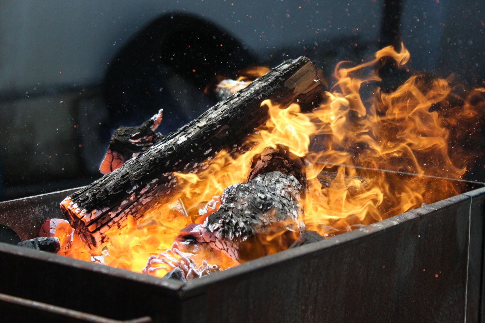 Canon EOS 1200D (EOS Rebel T5 / EOS Kiss X70 / EOS Hi) sample photo. Barbecue, fire, trunks photography
