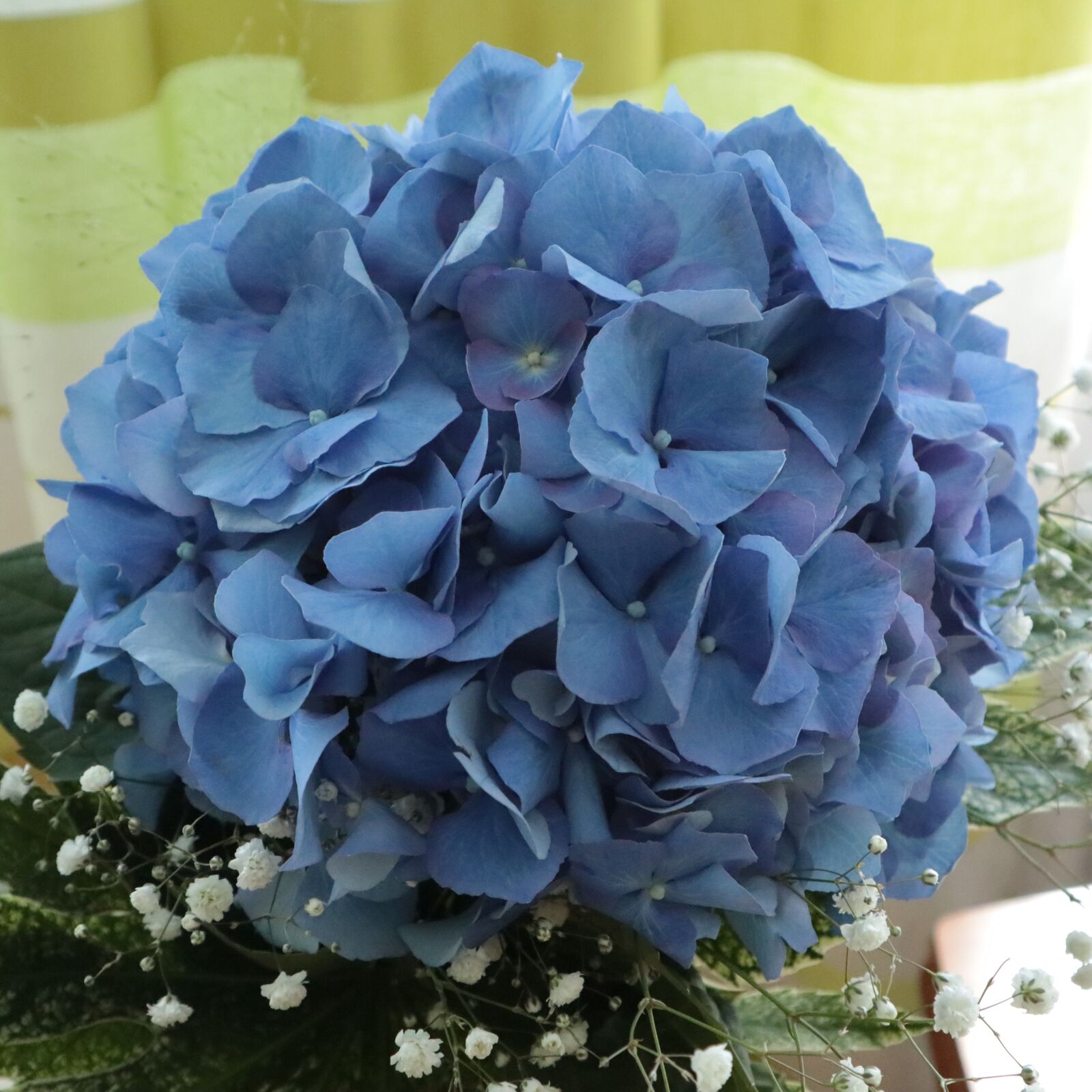 Canon EOS M100 + Canon EF-M 15-45mm F3.5-6.3 IS STM sample photo. Flowers, hydrangea, bouquet photography