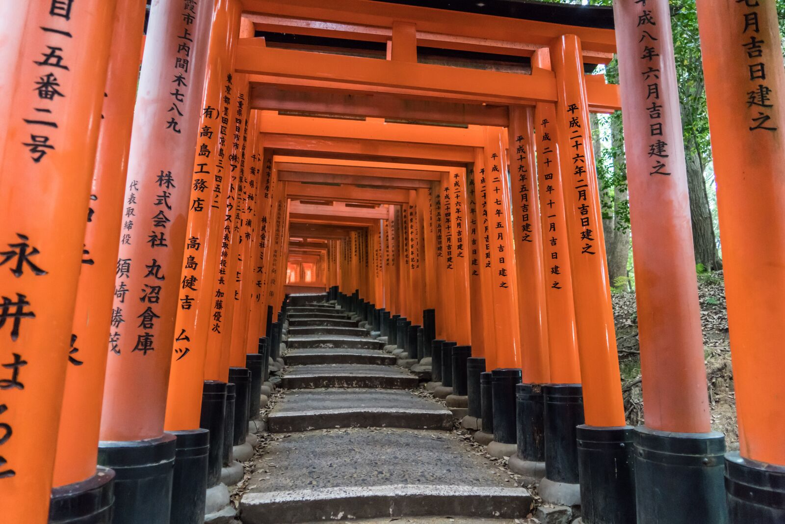 Sony a7R II + Sony FE 24-240mm F3.5-6.3 OSS sample photo. Fushimi inari-taisha shrine, kyoto photography