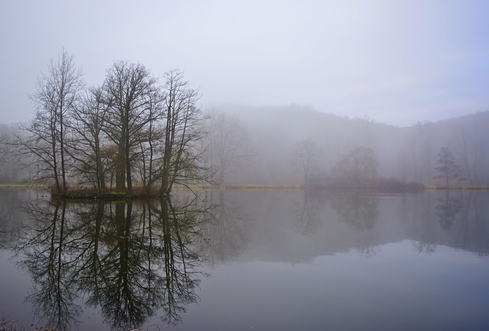 Nikon D5200 sample photo. Nature, park, lake photography