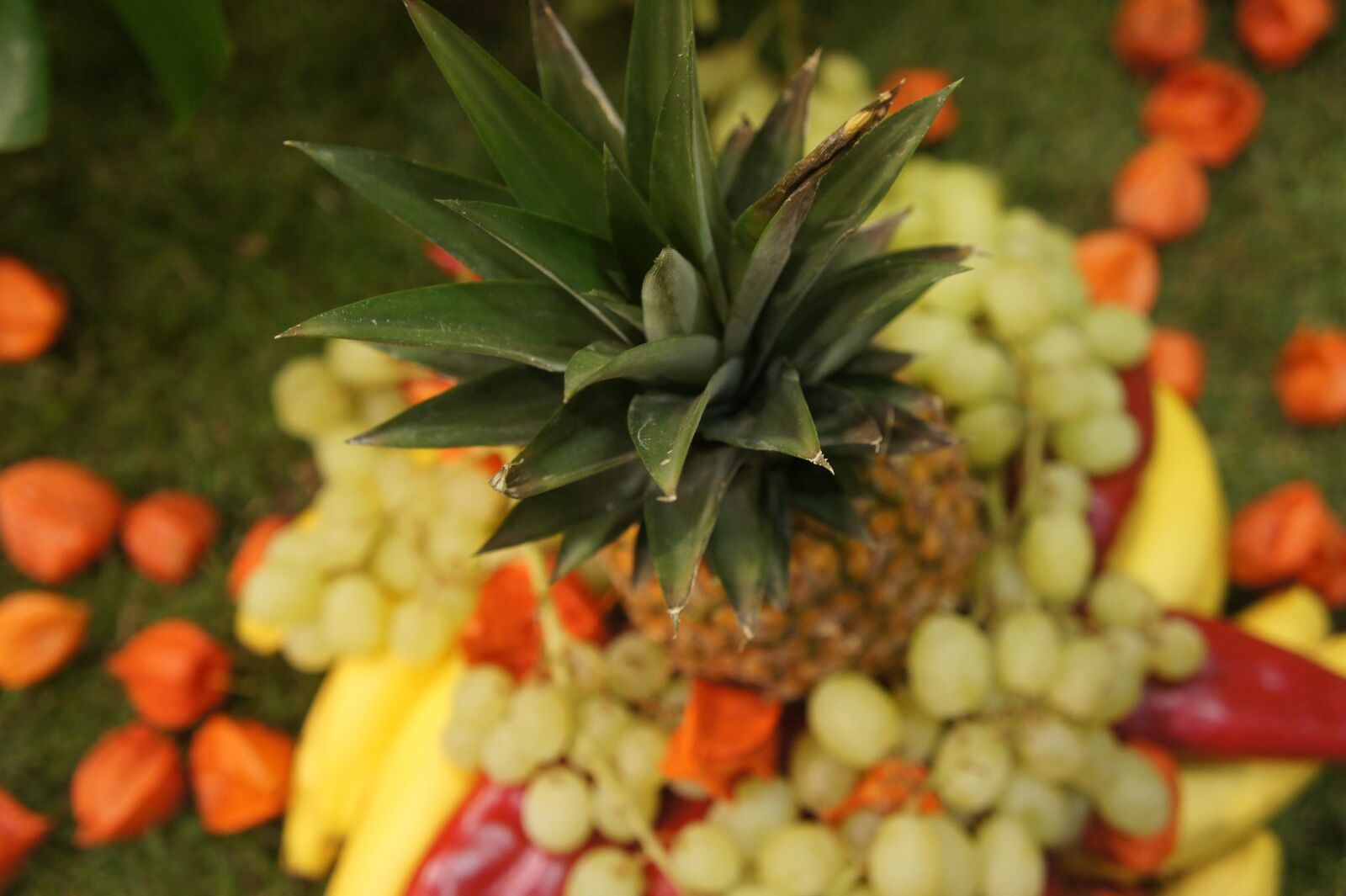 Sony Alpha NEX-5 sample photo. Pineapple, fruit, exotic photography