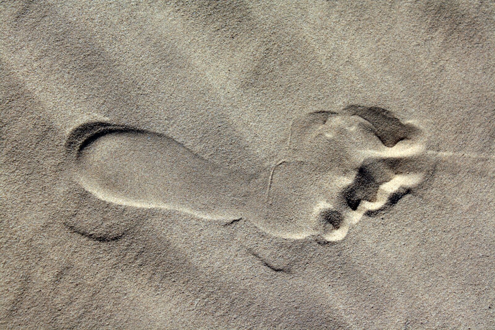 Canon EOS 1000D (EOS Digital Rebel XS / EOS Kiss F) sample photo. Footprint, sand, beach photography
