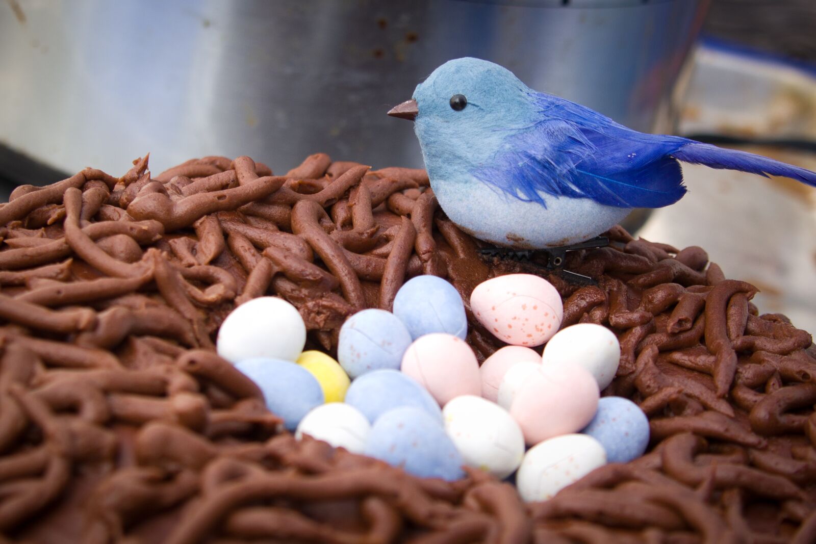 Canon EOS 550D (EOS Rebel T2i / EOS Kiss X4) sample photo. Easter, bird, egg photography
