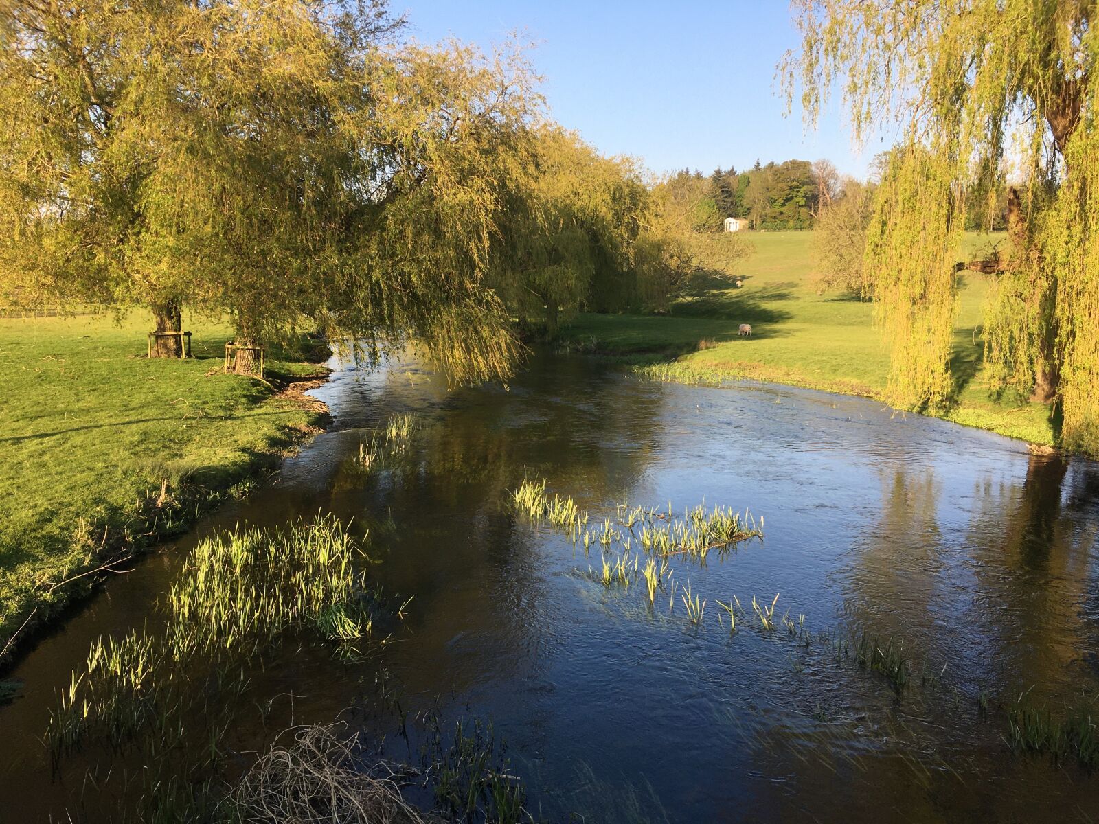 Apple iPhone 6s sample photo. River, summer, godmersham photography