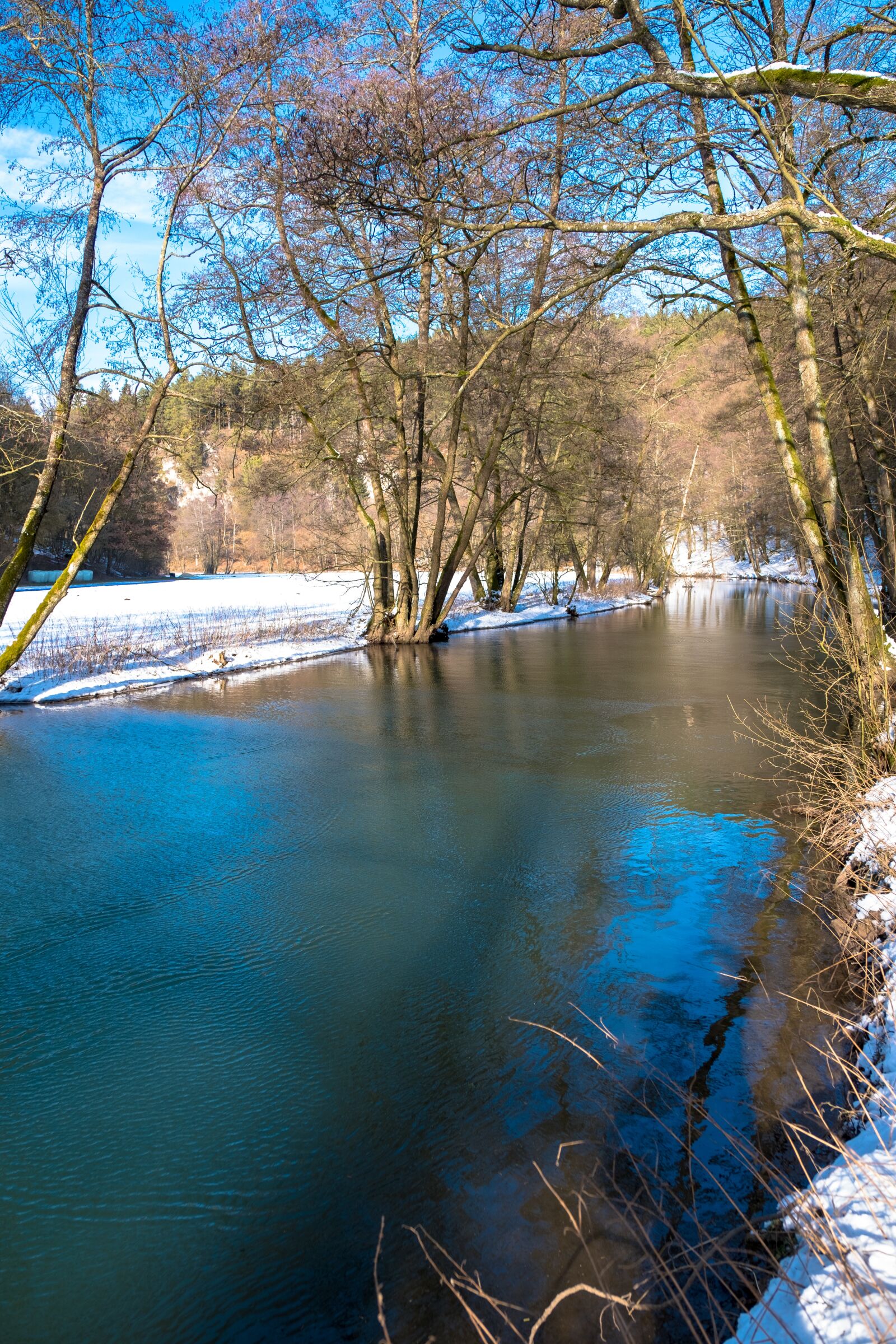 Fujifilm X-T2 sample photo. Waters, nature, tree photography