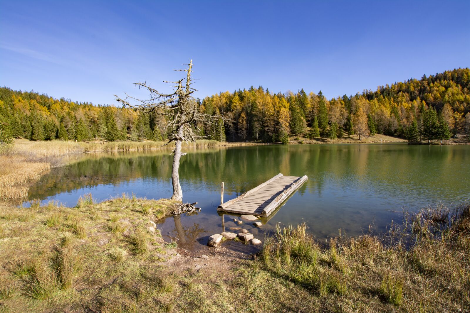 Nikon D5200 sample photo. Tretsee, felixer pond, mendel photography