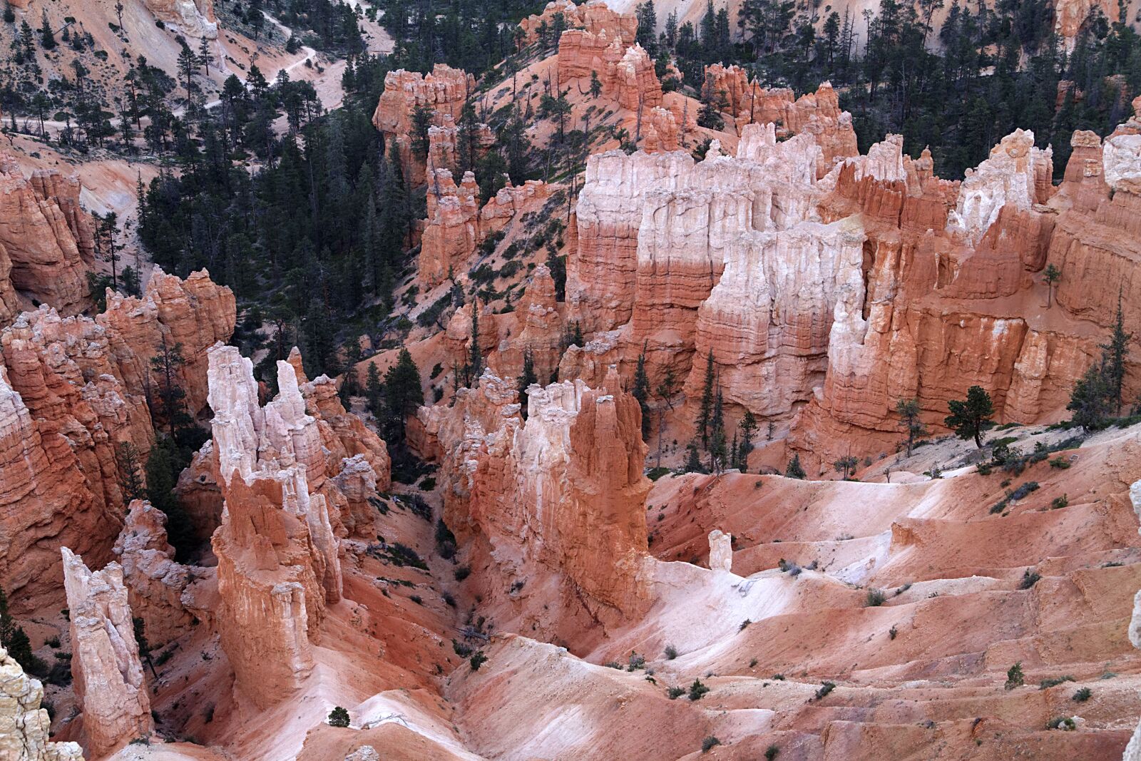 Canon EOS 7D sample photo. Bryce canyon, paunsaugunt plateau photography