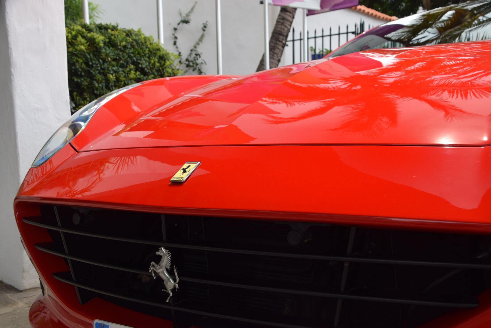 Nikon D3300 sample photo. Ferrari, red, wheels photography