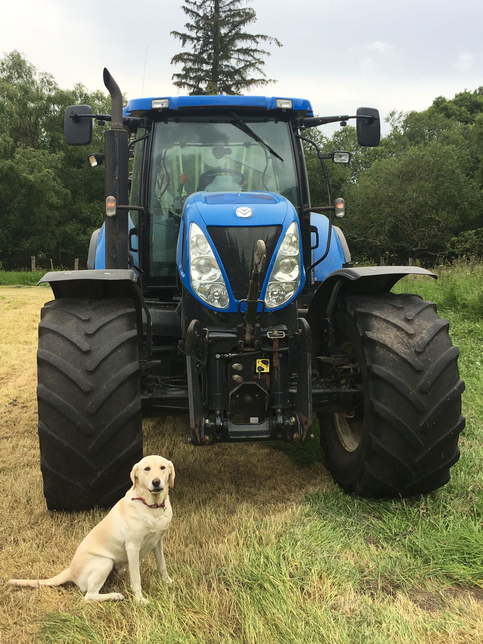 Apple iPhone SE sample photo. Tractor, dog, farm photography