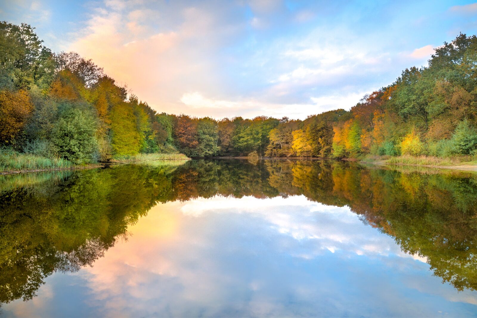 Nikon D610 sample photo. Lake, reflection, trees photography