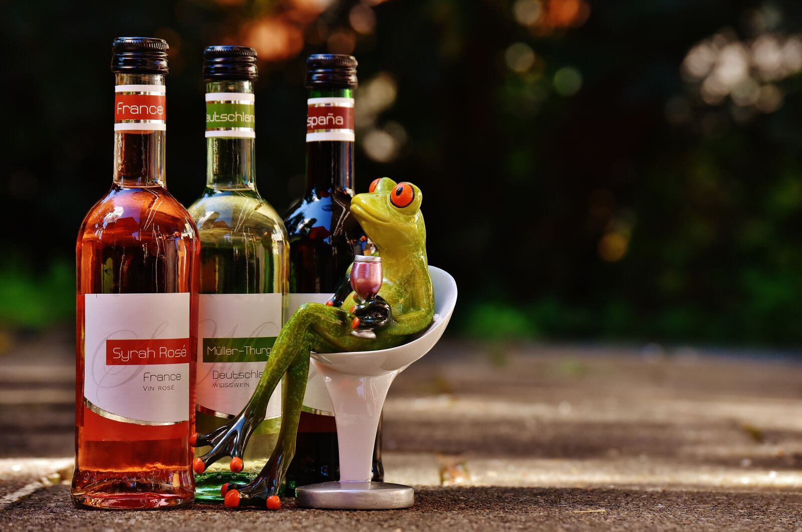 Nikon D7200 sample photo. Frog, wine, drink photography