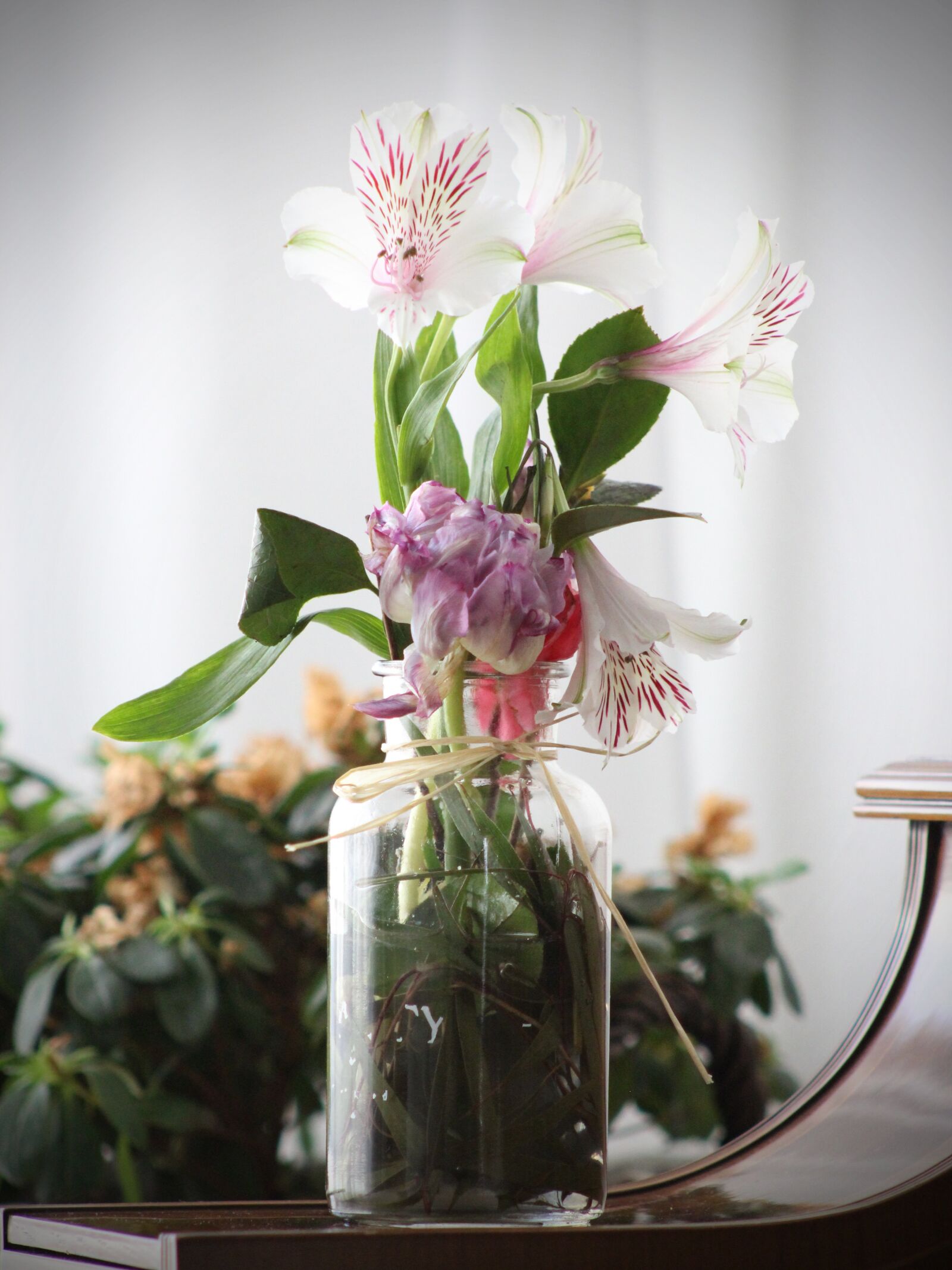 Canon EF 75-300mm f/4-5.6 sample photo. Flowers, vase, desktop photography