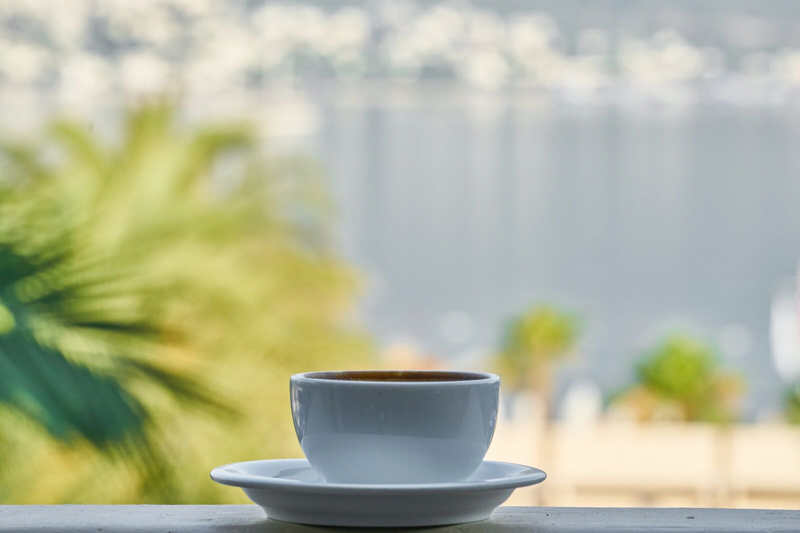 Sony FE 70-200mm F4 G OSS sample photo. Coffee, landscape, beverage photography