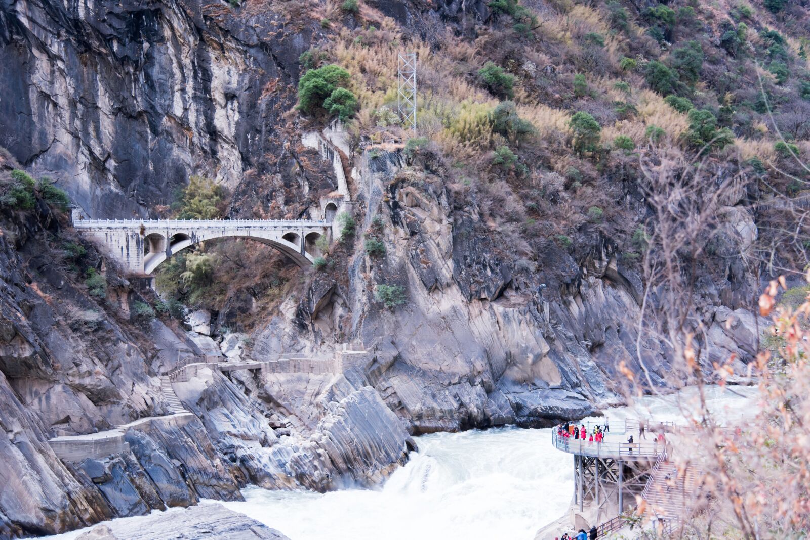 Nikon D750 sample photo. In yunnan province, tiger photography