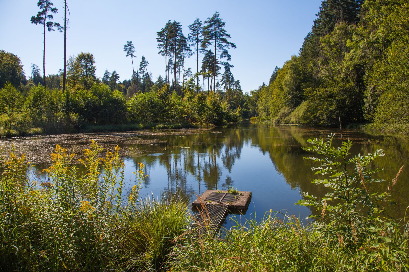 Canon EOS 5D Mark II sample photo. Monastery pond, salem, pond photography