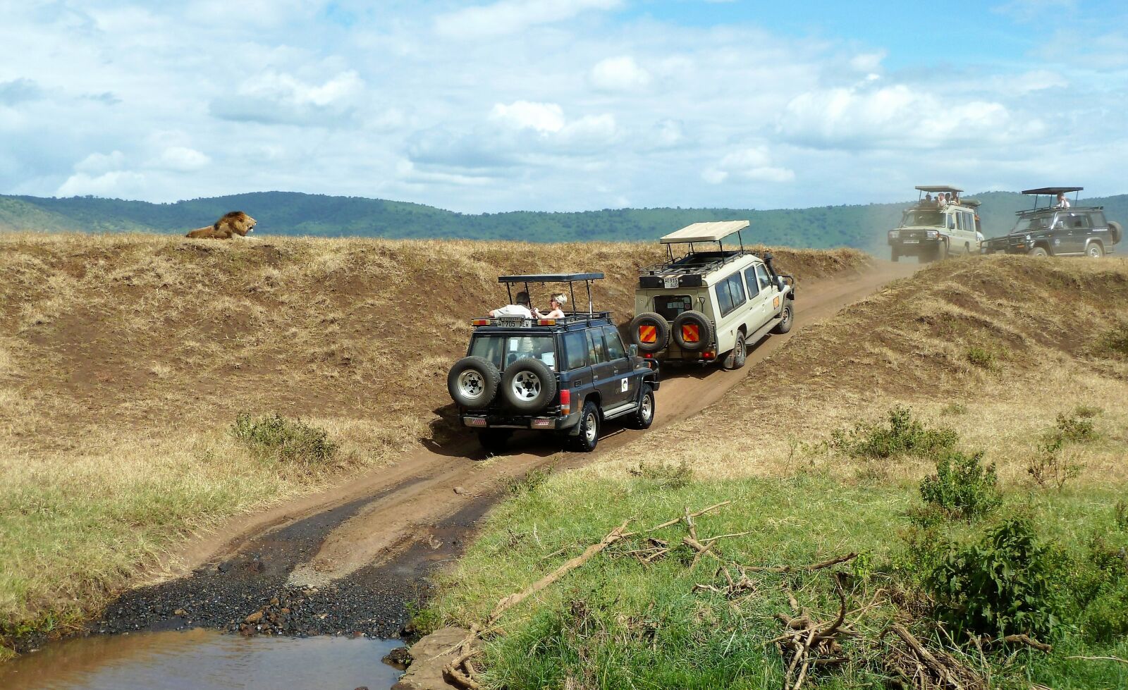 Panasonic Lumix DMC-ZS5 (Lumix DMC-TZ8) sample photo. Safari, wildlife watching, jeep photography