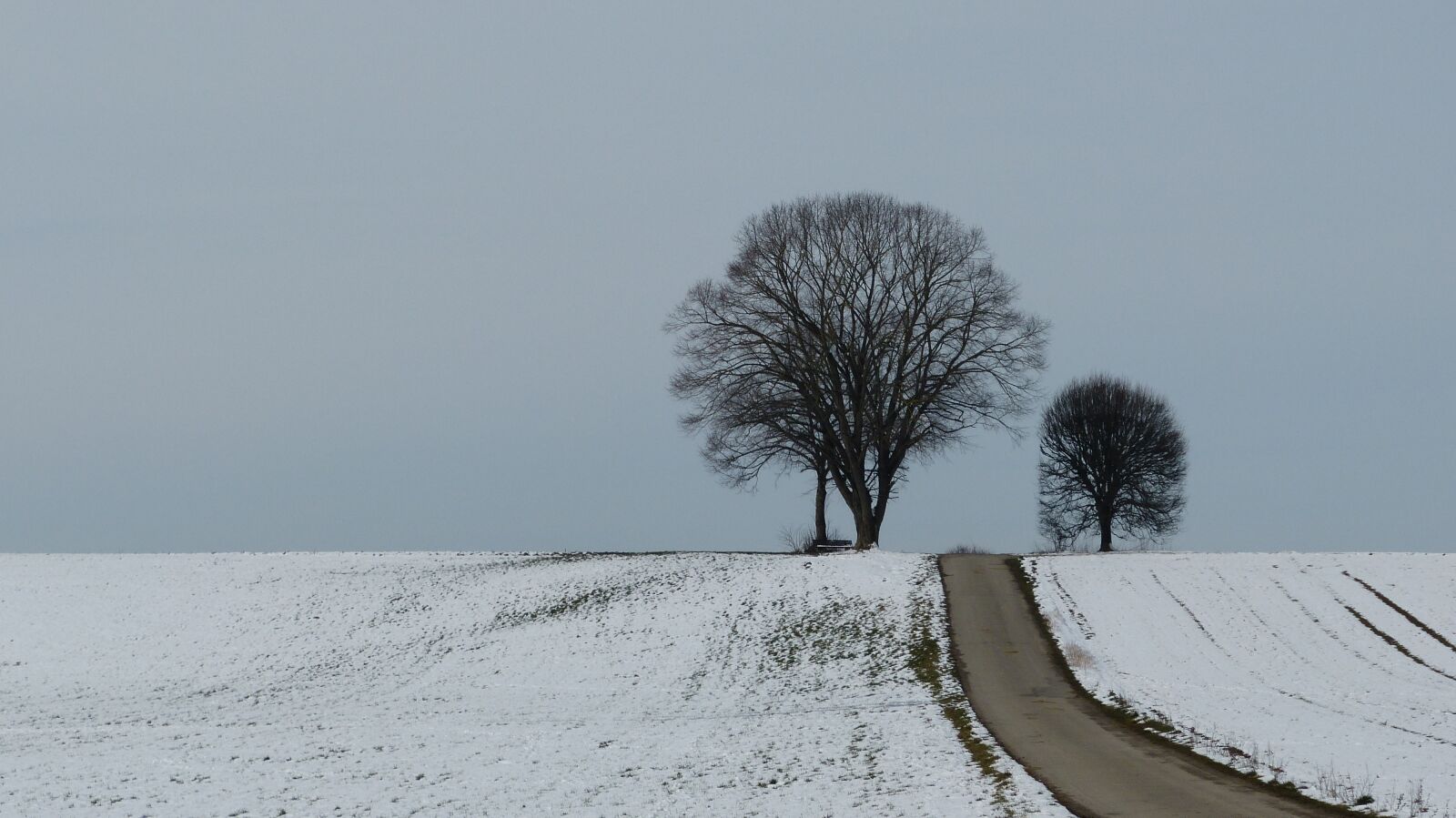 Panasonic Lumix DMC-FZ150 sample photo. Winter, tree, snow photography
