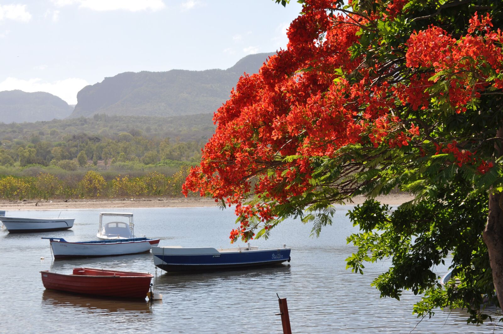 Nikon D5000 sample photo. Nature, body of water photography