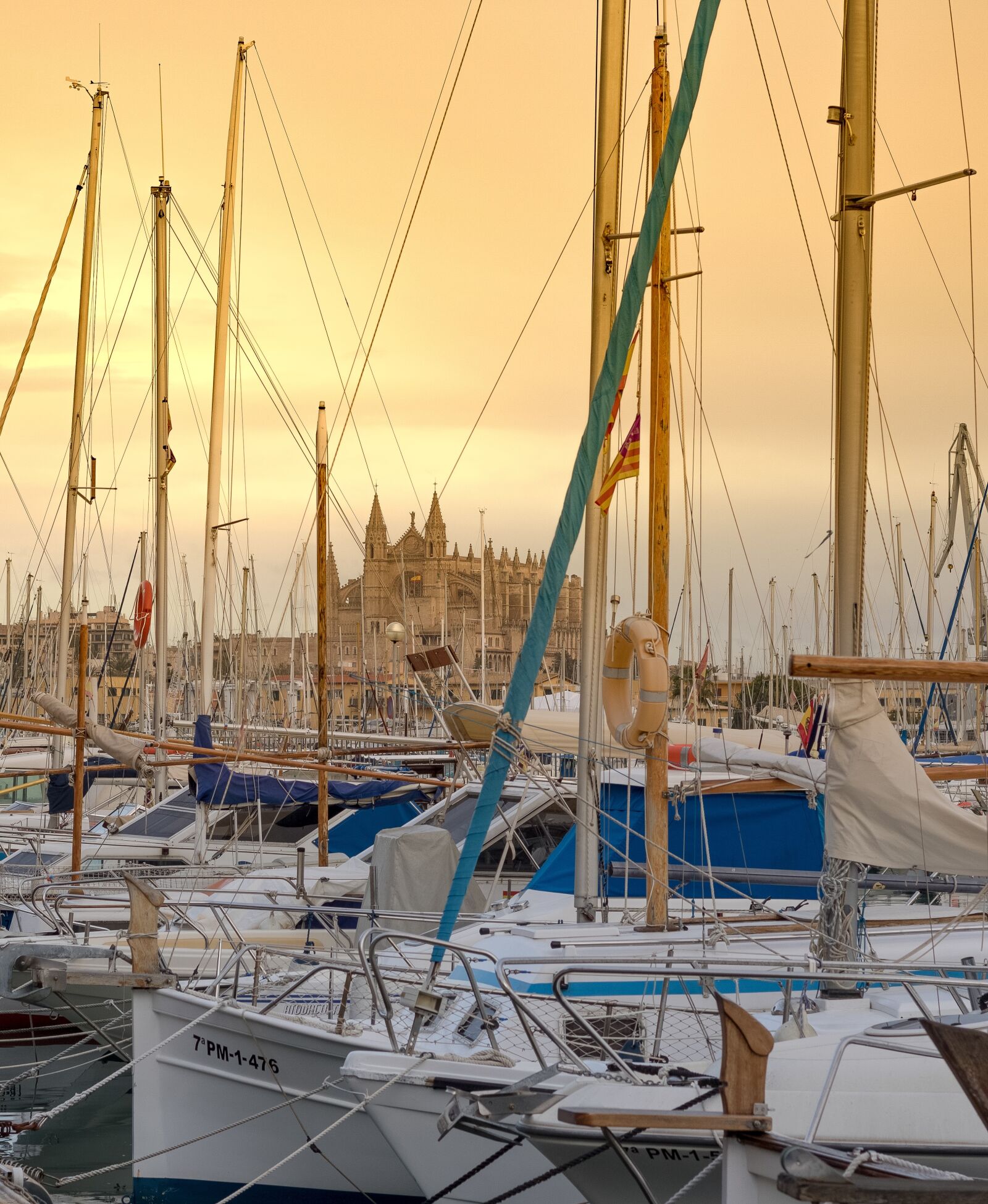 Canon EOS 750D (EOS Rebel T6i / EOS Kiss X8i) sample photo. Mallorca, palma, palma de photography