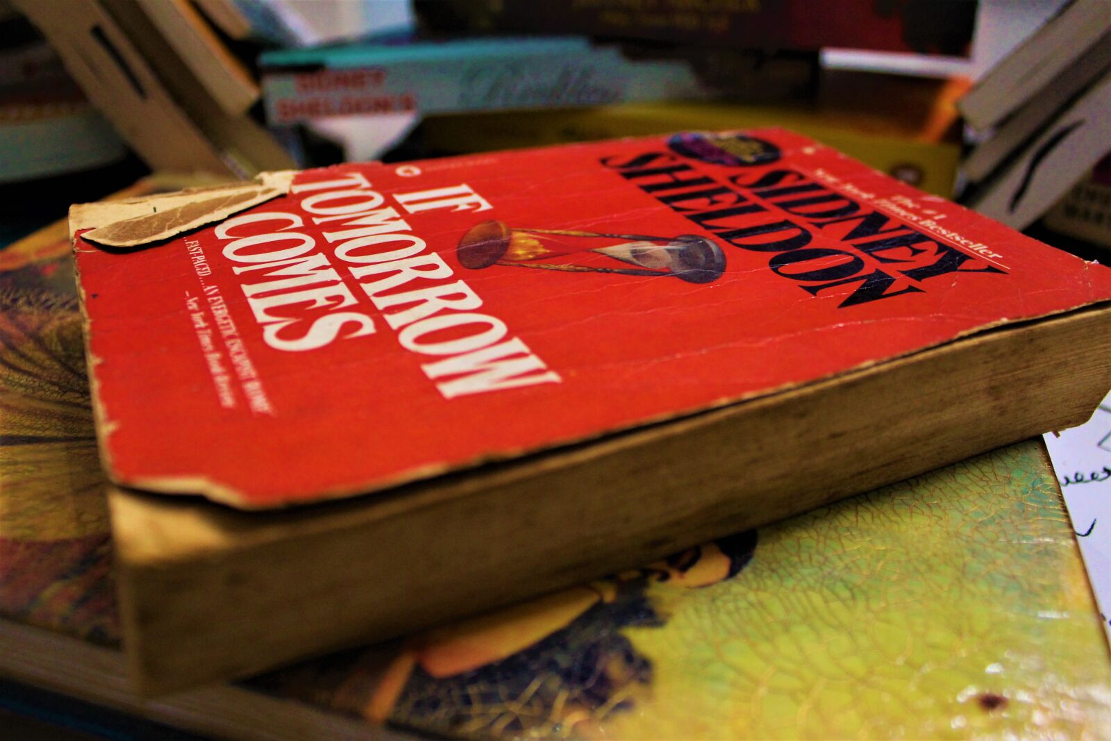 Canon EOS 700D (EOS Rebel T5i / EOS Kiss X7i) sample photo. Book, reading, literature photography