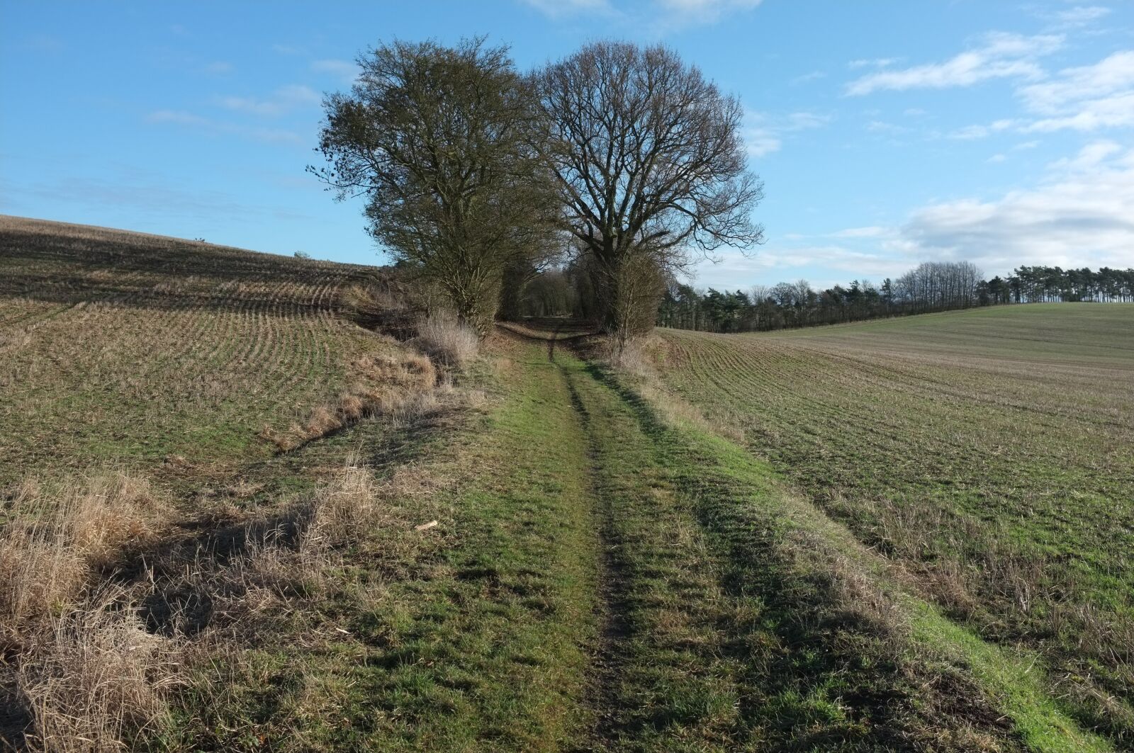 Fujifilm FinePix X100 sample photo. Landscape, lane, country photography