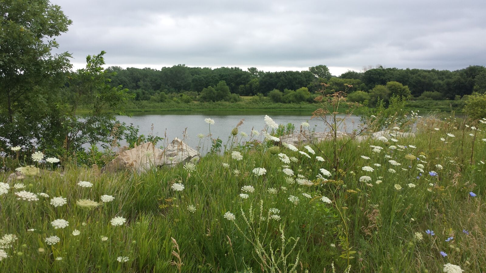 Samsung Galaxy S4 sample photo. Country, lake, wild flowers photography