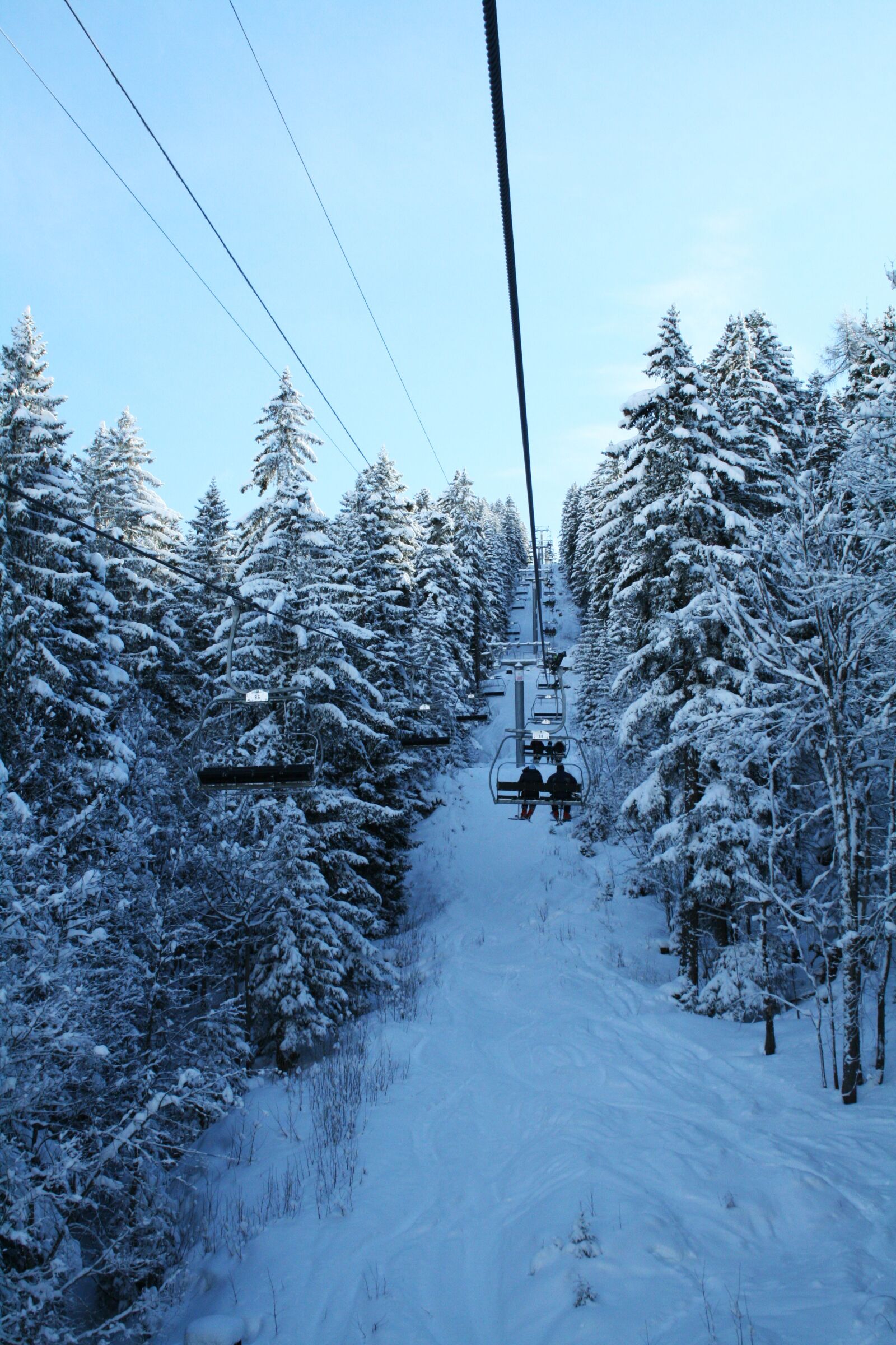 Canon EOS 400D (EOS Digital Rebel XTi / EOS Kiss Digital X) sample photo. French-speaking switzerland, snow, trees photography