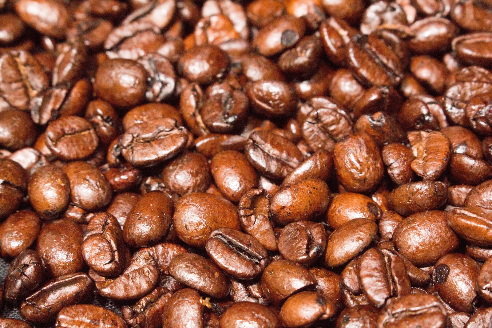Canon EOS 700D (EOS Rebel T5i / EOS Kiss X7i) sample photo. Coffee, espresso, caffeine photography