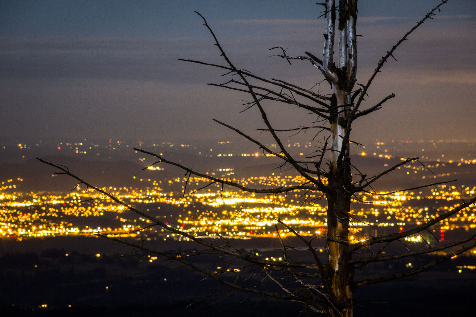 Canon EOS 60D sample photo. City, lights, city, long photography