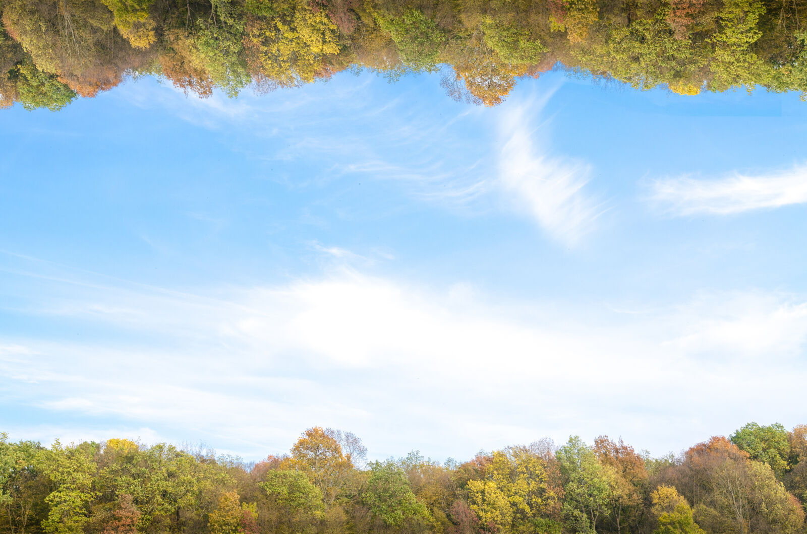 Nikon D5100 sample photo. Autumn, background, beautiful, blue photography