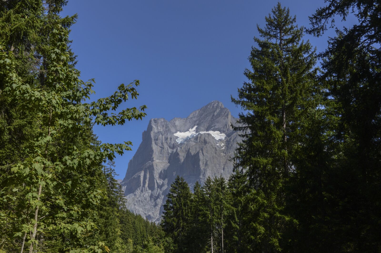 Nikon D3200 sample photo. Switzerland, swiss alps, grindelwald photography