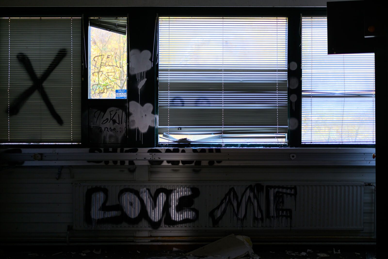 Nikon Z8 sample photo. Love me when i'm photography
