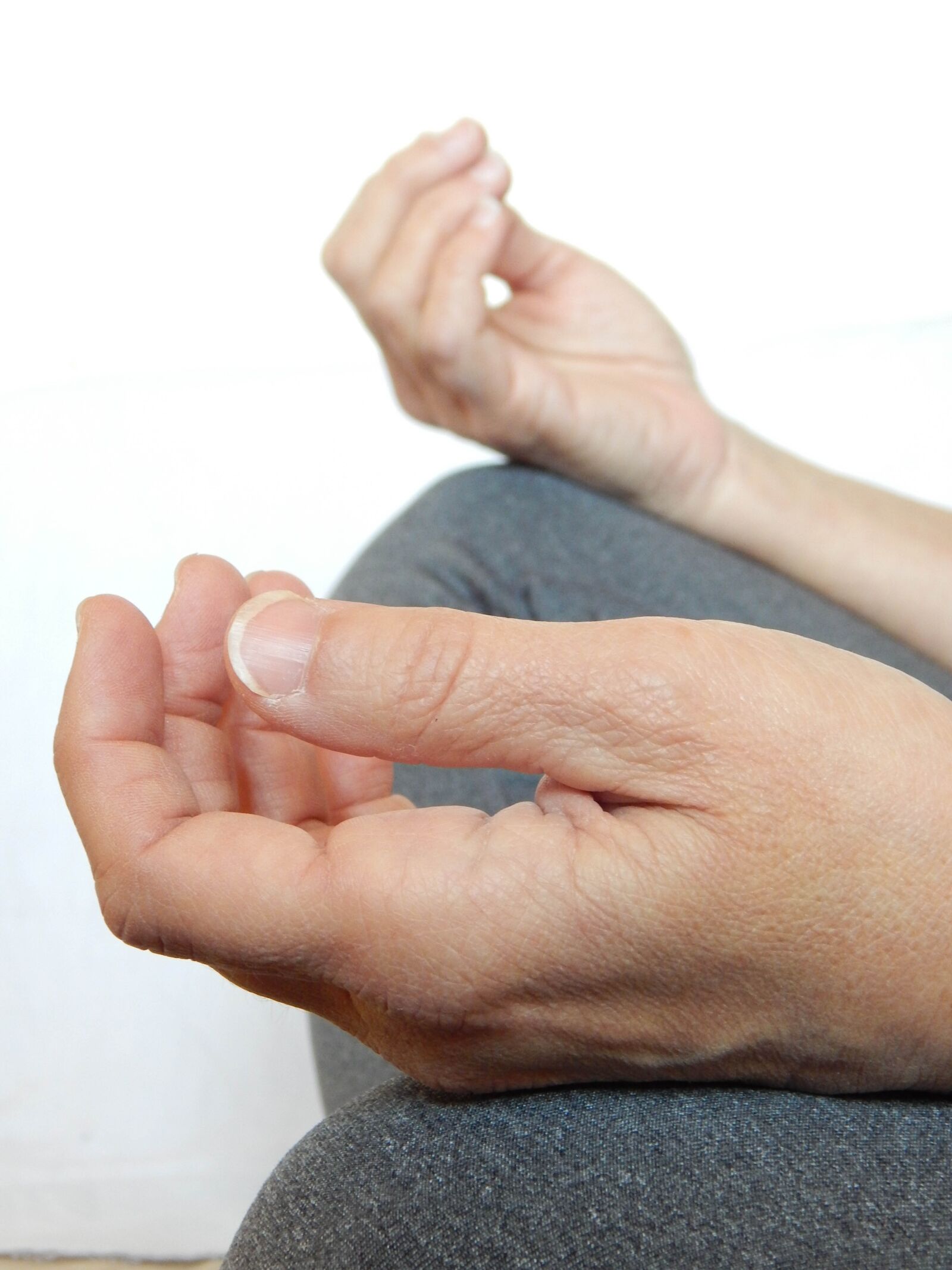 Nikon Coolpix L830 sample photo. Hands, meditate, meditation photography