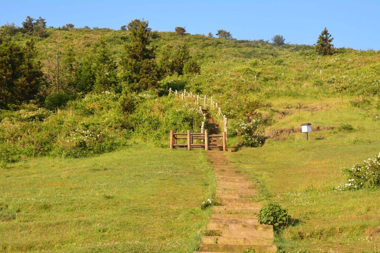 Nikon D5200 sample photo. Jeju island, ascension, scenery photography