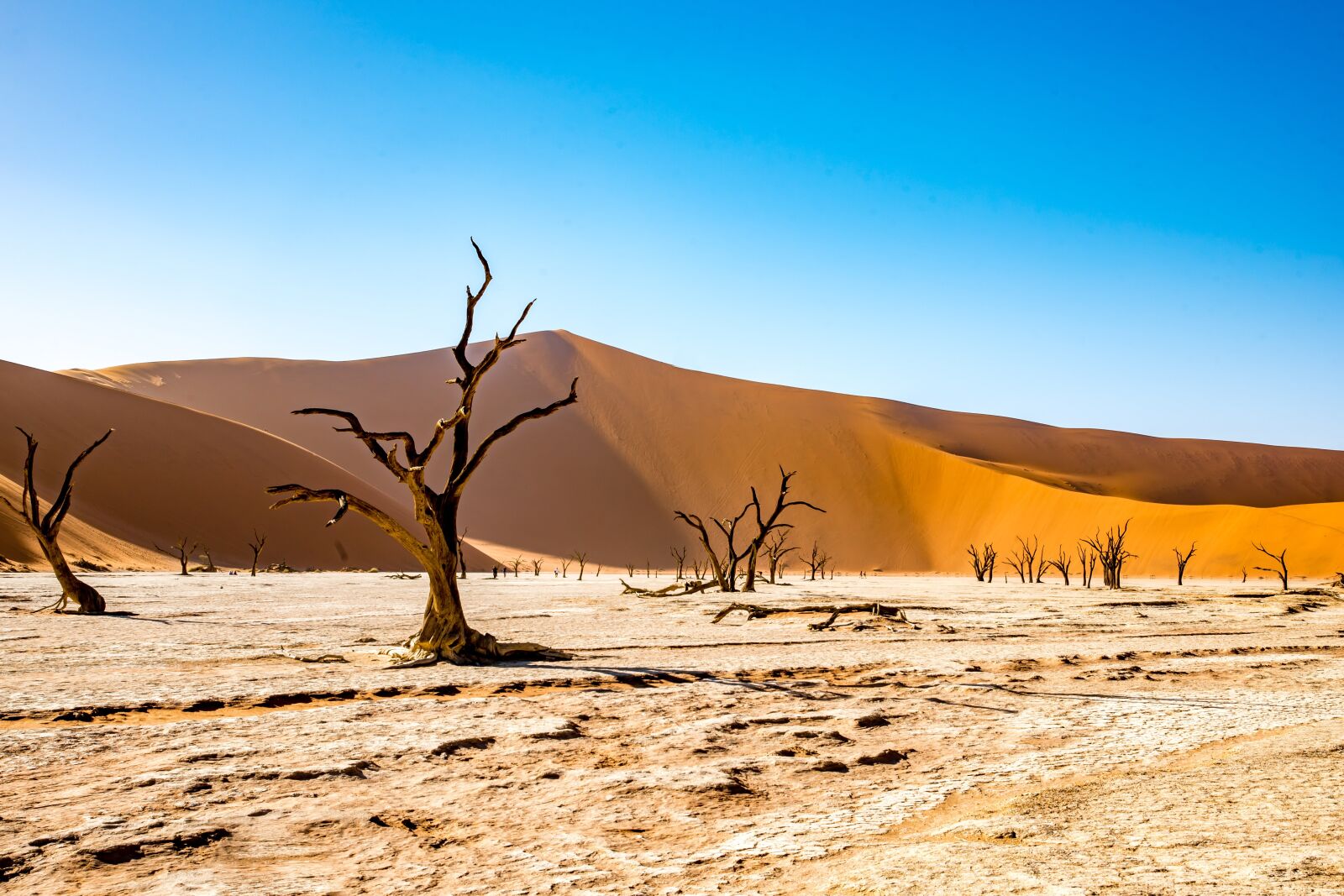 Nikon D750 sample photo. Namibia, deadvlei, desert photography