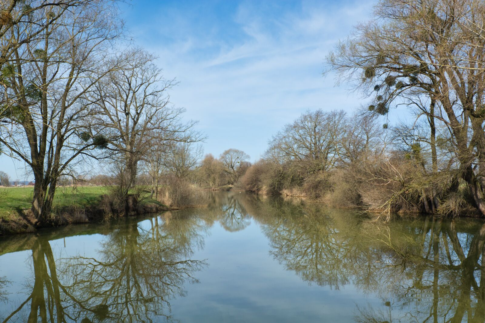 Nikon D7100 sample photo. Waters, trees, silhouettes photography