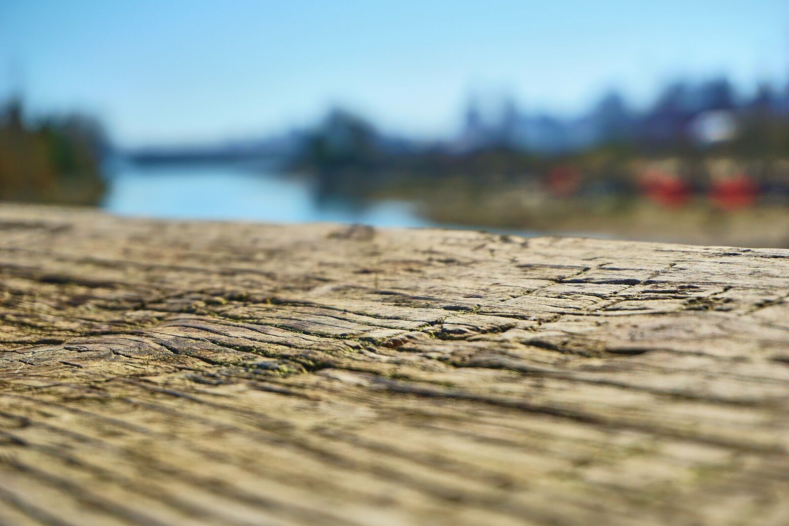 Sony E 16-50mm F3.5-5.6 PZ OSS sample photo. Wood, clear, blur photography