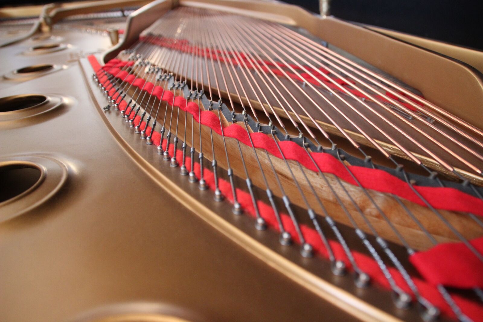 Canon EOS 600D (Rebel EOS T3i / EOS Kiss X5) sample photo. Wing, strings, concert grand photography