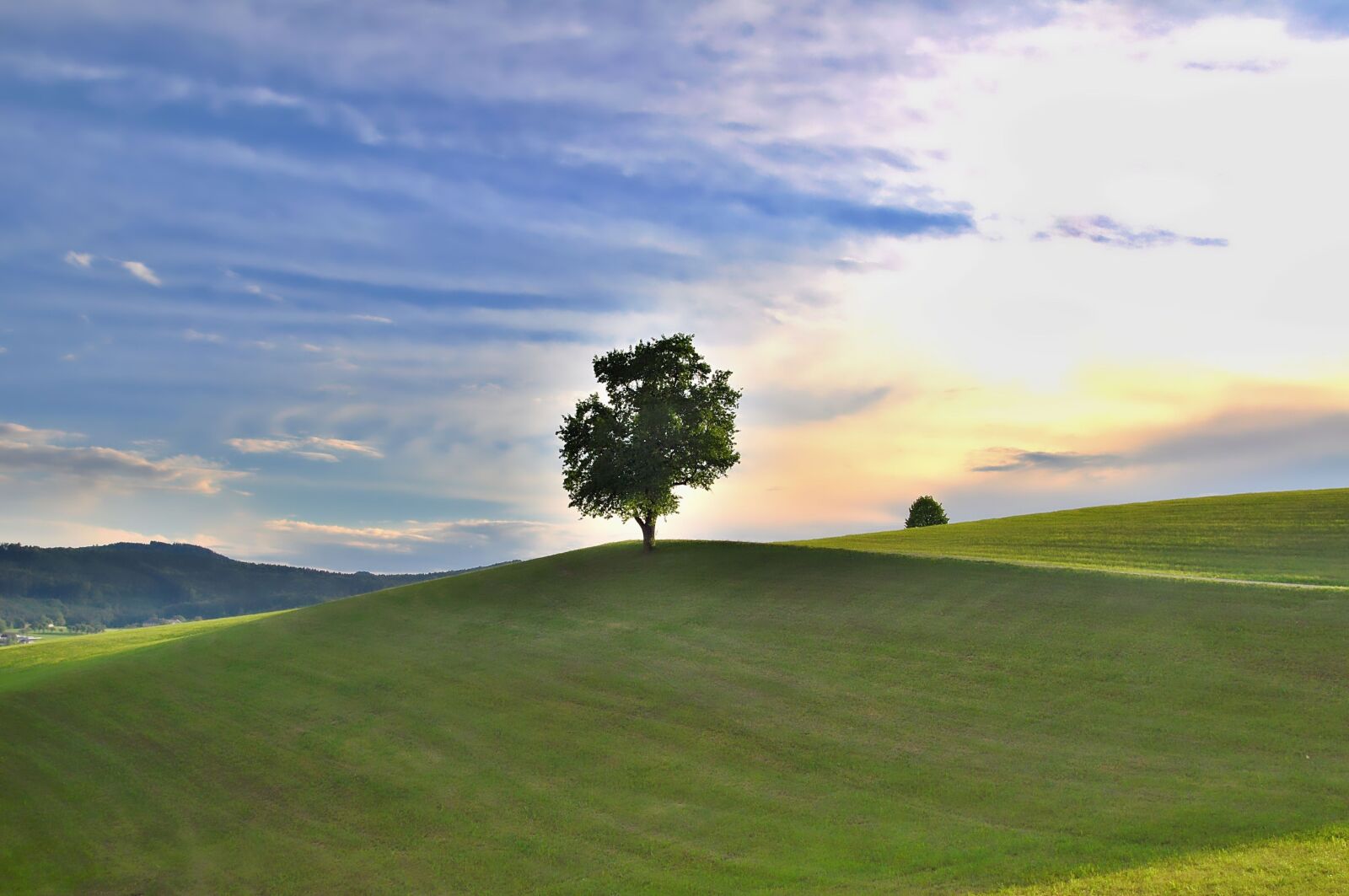 Nikon D90 sample photo. Nature, landscape, meadow photography