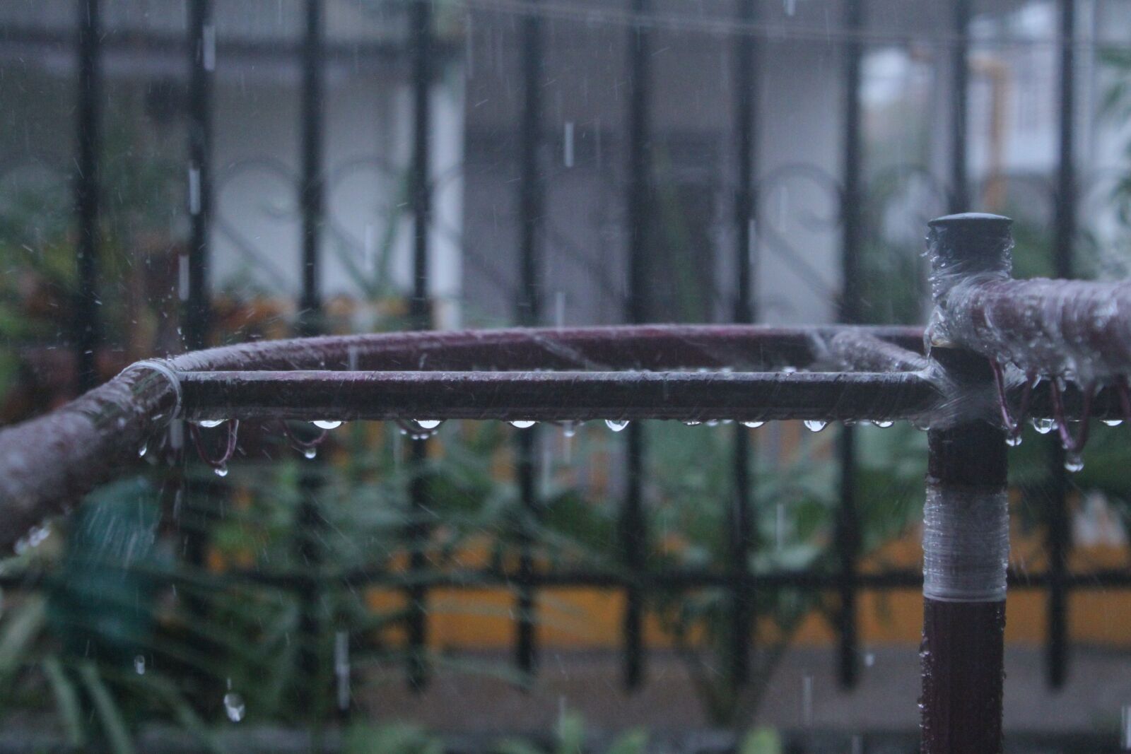 Canon EOS 50D sample photo. Rain, water, nature photography