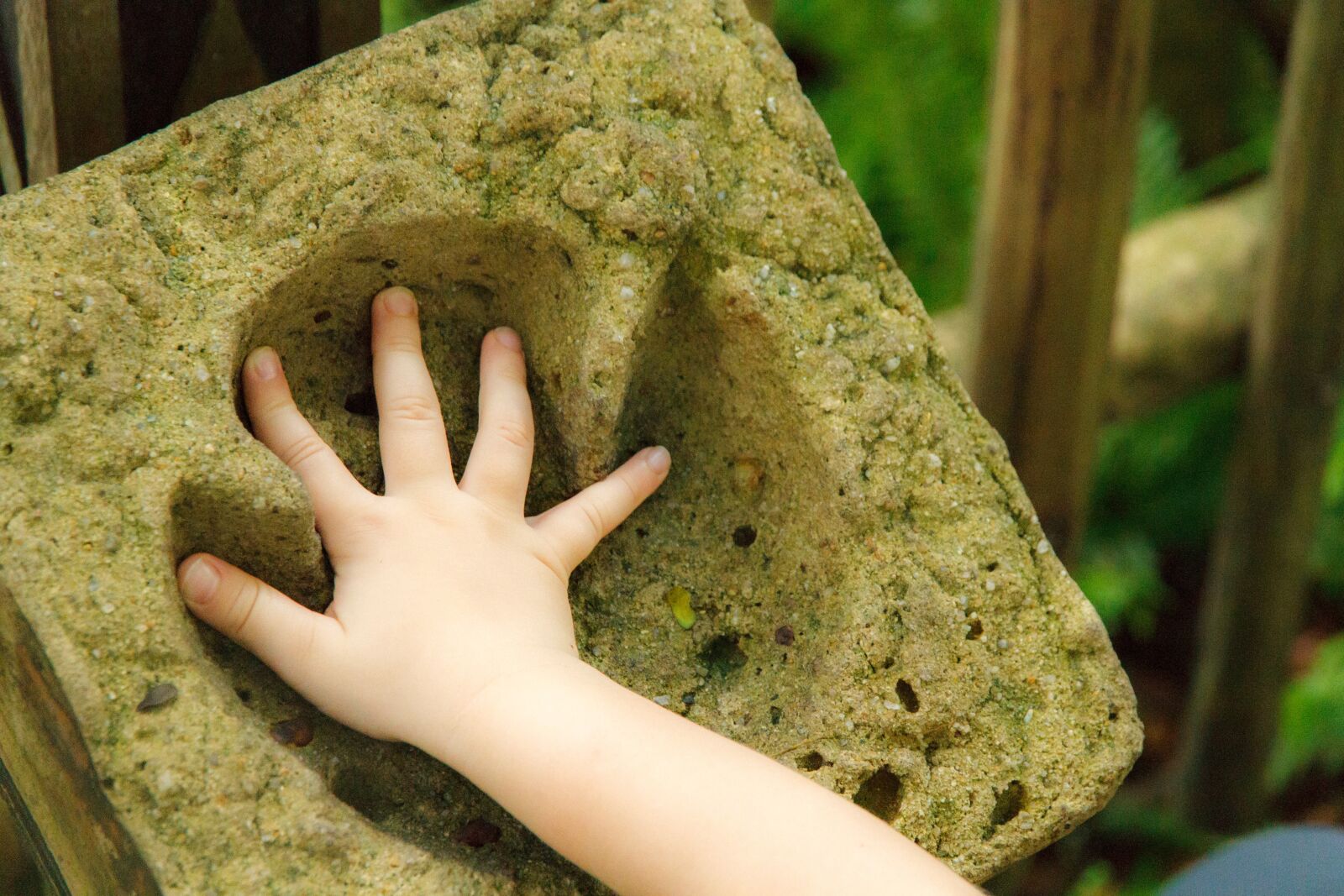 Canon EOS 7D sample photo. Hand, reprint, finger photography