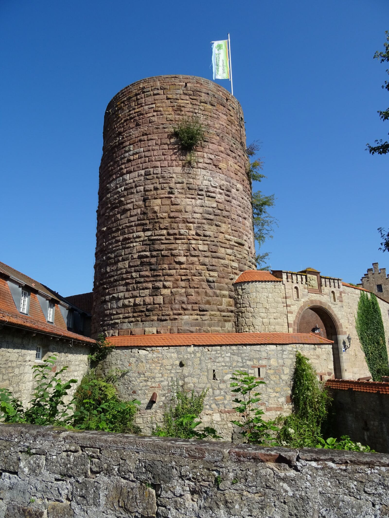 Sony DSC-HX60 sample photo. Keep, tower, castle photography